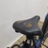 Gazalle E-Bike