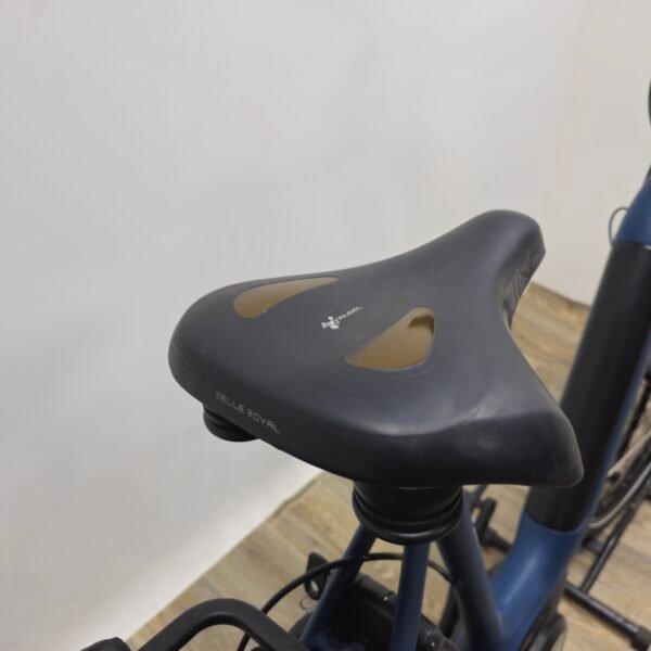 Gazalle E-Bike