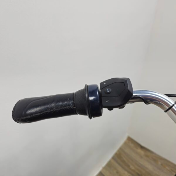 Gazalle E-Bike
