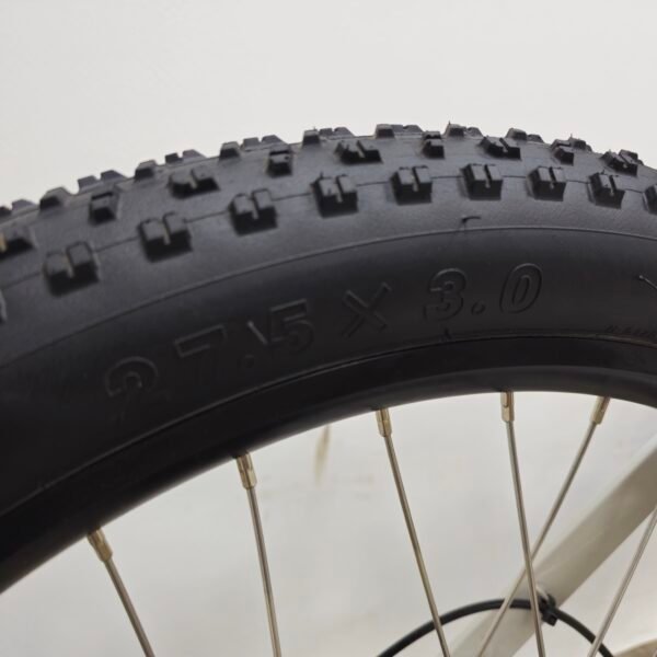 SONDORS E-BIKE