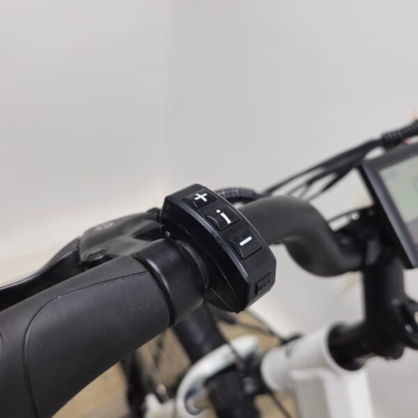SONDORS E-BIKE