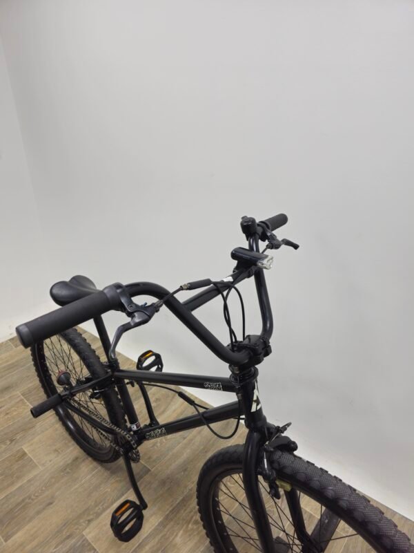 BMX 24