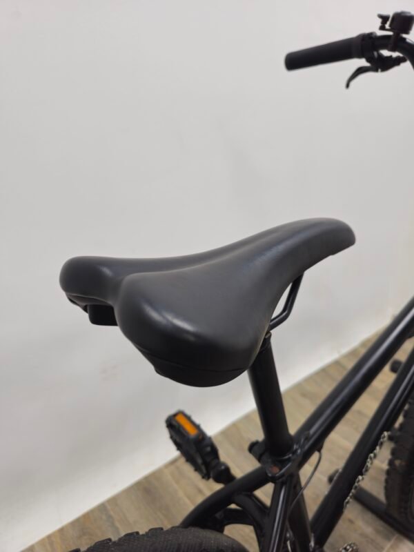 BMX 24