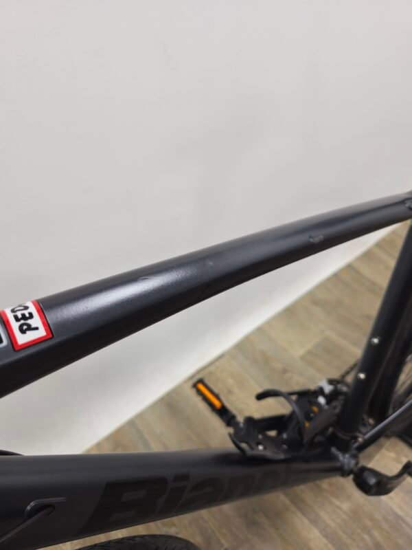 Bianchi C-Sport (L)
